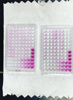 Nitrate Analysis