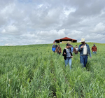 Field day at Homestead Acres